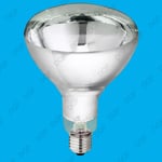 250w Infra Red Heat Bulb, Carvery Food Service Restaurant Catering Display Lamp