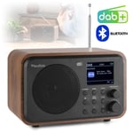 CHOICE Audizio Milan DAB+ Portable Radio Bluetooth Speaker, FM Mains or Battery