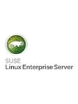 HP SuSE Linux Enterprise Server