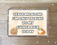 Guinea Pig Fridge Magnet Gift - Leave Me Alone I'm Only Talking To My * Today