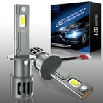 AUXIRACER Ampoule LED H1 canbus, 18000LM, 50W，6500K lumière blanche forte, phare de voiture, kit de conversion halogène 12V,2 Ampoules (H1)