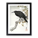 A Crow On The Blossom Tree By Ohara Koson Asian Japanese Framed Wall Art Print, Ready to Hang Picture for Living Room Bedroom Home Office Décor, Black A2 (64 x 46 cm)