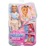 Barbie Dream Besties Ken docka