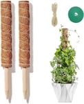 Tuteur Coco, Tuteur Monstera, 2 Pi¿¿ces 40 cm Tuteur Coco Monstera, Tuteur Plante Grimpante, avec 1 Rouleau Serre Cables et Ficelle de Jute pour La Maison Jardin Plante Grimpantes Extension