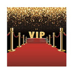 Aoihrraan 3x3m VIP Rouge Tapis Toile de Fond VIP Scène Canal Or Paillettes Taches Photographie Fond Club Événement Festival Spectacle Fête Vidéo Shoots Portrait Photo Studio Accessoires