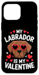 iPhone 16 Pro Max Chocolate Labrador My Valentines Hearts Day Dog Mom Dad Case