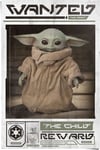 Poster Reinders - Baby Yoda 014