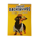 2025 Cheeky Dachshunds Kalender Rolig Djur Husdjur Hundar Vägg Hängande Planerare 12 Månadskalender