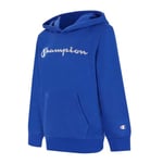 Champion Hooded Sweatshirt Junior