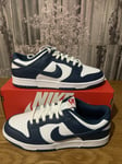 NIKE DUNK LOW RETRO VALERIAN/BLUE TRAINERS MENS UK 8 EUR 42.5 US 9 Dd1391-400