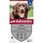 Advantix Chien Solution Antiparasitaire Grande Race 25 à 40kg 4 pipettes