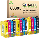 603xL - 12 Cartouches d'encre Compatibles avec Epson 603 xL Etoile de Mer - pour Cartouche xP 2100 xP 2105 WF 2810 2830 (3 Noirs 3 Cyan 3 Magenta 3 Jaunes)