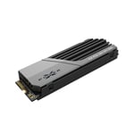 Silicon Power SP01KGBP44XS7005 SSD, 1 to, Fonctionnement PS5 confirmé (Ultra Rapide ! Gaming SSD), M.2 2280, PCIe 4.0 x 4, NVMe 1.4, Lecture maximale 7300 Mo/s