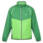 Regatta Miesten Steren Hybrid Soft Shell takki, Field Green/Jasmine Green UTRG9163_fieldgreenjasminegreen