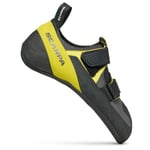 Scarpa Arpia V - Chaussons escalade Shark / Yellow 42