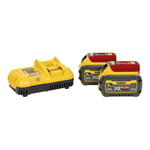 DEWALT Set de batteries 2xBatterie 54V /108 Wh DCB118T2-QW