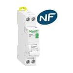 Schneider Electric - Disjoncteur 1p + n 16A - courbe d - peignable Schneider R9PFD616