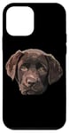 Coque pour iPhone 12 mini Chocolate Lab Chiot