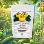 Garcinia Cambogia Food Supplements 500mg 60 Capsules