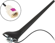 Blow 22-700# Fm-Antenn Fiat Phantom Fakra Bilantenn