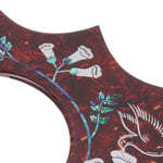 Hummingbird Pickguard Acoustic Guitar Replacement Self Adhesive Back Scratch NAU