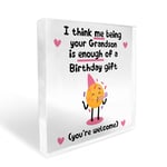 Funny Gift For Nan Nanny Grandma Granny Nanna Birthday Gift For Her Birthday