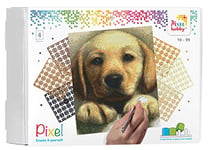 Pixel P090045 Emballage Cadeau mosaïque Chien pour Enfants, Image d'environ 20,3 x 25,4 cm, système d'assemblage Simple avec tesselles en bioplastique, sans Repassage ni Collage