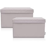 LIFENEY Lot de 2 boîtes de rangement pour enfants (37 x 25 x 21 cm) I Panier de rangement pour chambre d'enfant et salon I Boîtes de rangement pour enfants (gris clair)