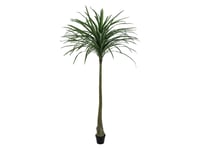 Dracena, green, artificial, 220cm