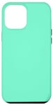 Coque pour iPhone 15 Plus Couleur vert clair