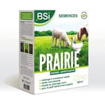 BSI - Semences de Gazon - Prairie - Haute qualité - Grande Surface - Jusqu'à 375m² - 2,5Kg