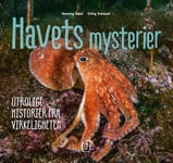 Havets mysterier 3 - utrolige historier fra virkeligheten