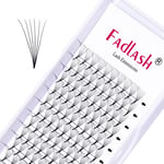 Fadlash de Cils Préproduction Russes Volume 6D 0.07mm D Curl 13mm Extensions de Cils Volume Naturel Longs Cils Professionnels(6D-0.07-D, 13mm)