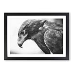 Big Box Art Golden Eagle Vol.2 Painting Framed Wall Art Picture Print Ready to Hang, Black A2 (62 x 45 cm)