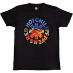 Red Hot Chilli Peppers Unisex Adult Californication Asterisk T-Shirt - XXL