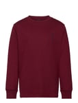 Ralph Lauren Kids Cotton Jersey Long-Sleeve Tee Burgundy