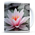 Pretty Lotus Lily Flower -Drinks Mug Cup Kitchen Birthday Office Fun Gift #13117