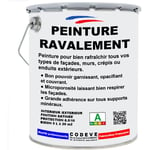 Peinture Ravalement - 5 l - Codeve Bois - ral 9017 - Noir signalisation