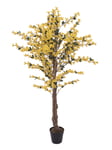 EUROPALMS Forsythia tree with 3 trunks, artificial plant, yellow, 150cm, Europalms Forsythia träd med 4 stammar, gul, 150 cm