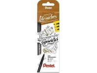 Pentel Pen Brush Sign Pen Pigment (3 Pcs) Sesp-15-St3 Pentel