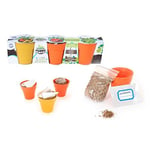 PLANETE PLANTE - 3 Pots Biodegradables et Graines À Planter - Kit de Jardinage - 170051 - Bambou - Jardin - Nature - Plante - Fleurs - Jeu Pour Enfant - À Partir de 3 ans