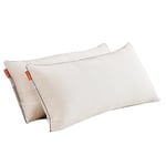 Sweetnight Oreillers Bambou 40x80 Lot de 2 Coussin Rectangulaire, Oreiller 50x70 Hotel Doux et Respirant, 950g Rembourrage