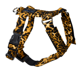 Kattesele Strap Leopard No. 1 - Katt - Halsbånd, kobbel og sele - Katteseler, bil- og sikkerhetsseler - Gustaf och Evita