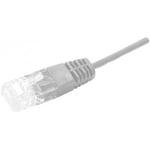 Cordon utp 1p gris rj45 rj45 telephone 100 ohms - 1m