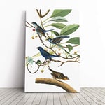 Big Box Art Canvas Print Wall Art John James Audubon Indigo Bird | Mounted and Stretched Box Frame Picture | Home Decor for Kitchen, Living Room, Bedroom, Hallway, Multi-Colour, 30x20 Inch