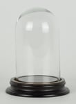 Vintage Look Small Glass Dome With Wooden Base Height 13.5 cm