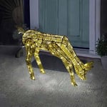 Light Up Gold Reindeer Outdoor Christmas Decorations Large Garden LED Doe 60cm