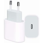 220v PD Laddare för iPhone 12/13/14/15 - 20w - USB-C Vit