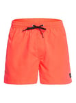 Quiksilver Everyday 15" - Short de bain pour Homme