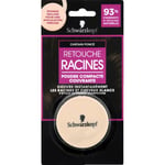 Retouche racines poudre compacte chatain